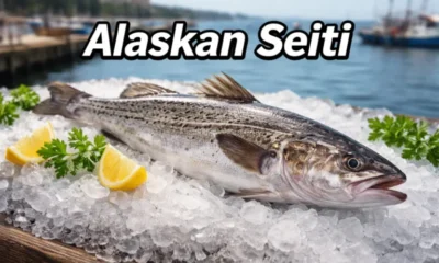 Alaskan Seiti