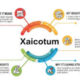 Xaicotum