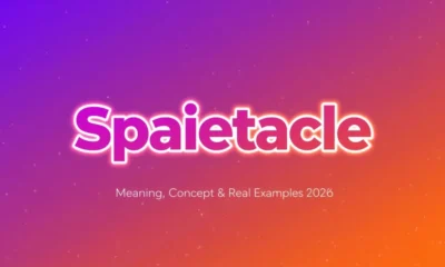 spaietacle