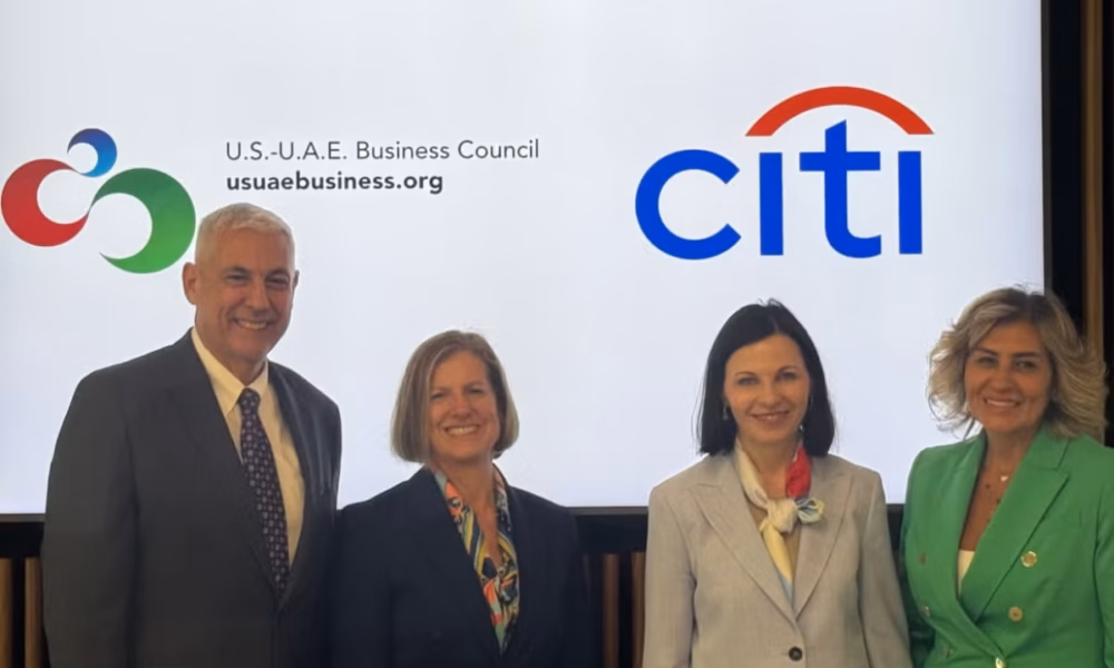 ellen topanotti citibank