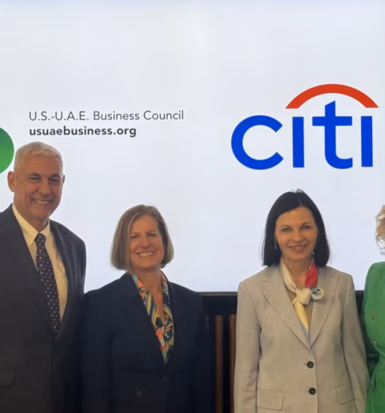 ellen topanotti citibank