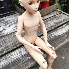dolfier