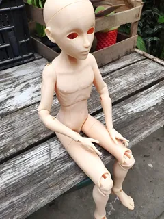 dolfier