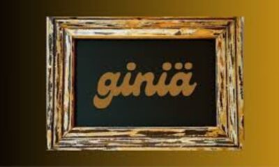 giniä