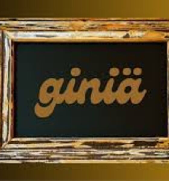 giniä